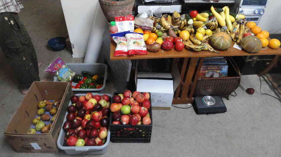 Rescued food waiting to be delivered.