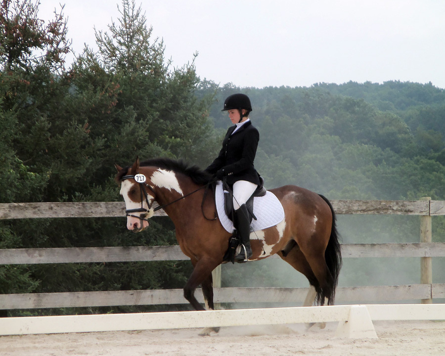 College student Celia Rozanski rides Jasper at a horse show sponsored by the Potomac Valley Dressage Association.