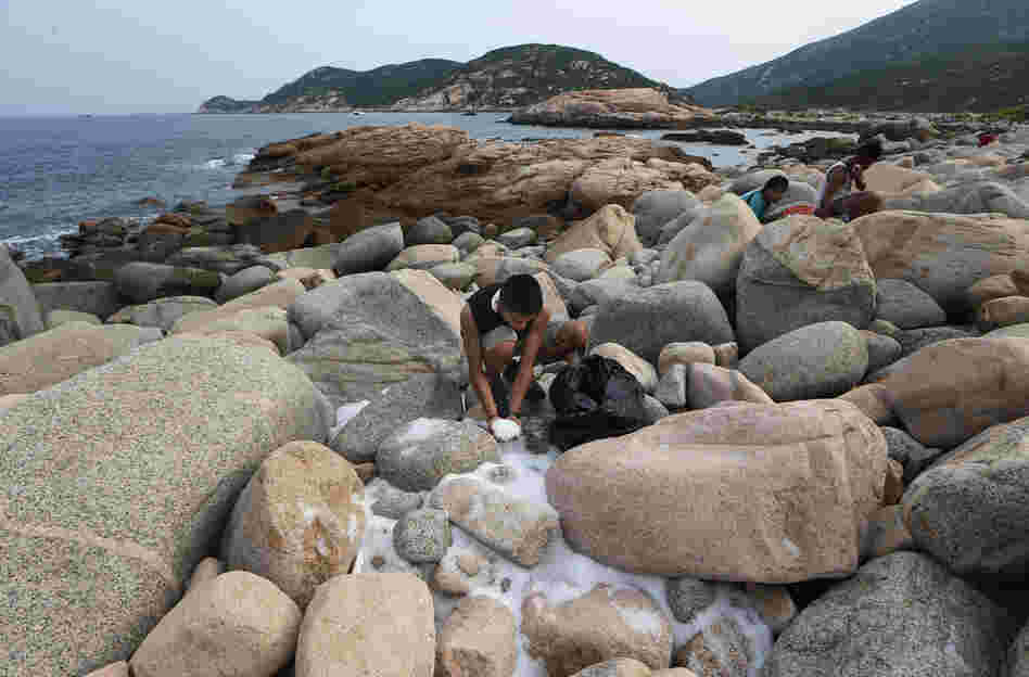 Volunteers collect plastic pellets washed up on a bank of Lamma island during a cleanup operation in Hong Kong on Sunday. Volunteers collect plastic pellets washed up on a bank of Lamma island during a cleanup operation in Hong Kong on Sunday.