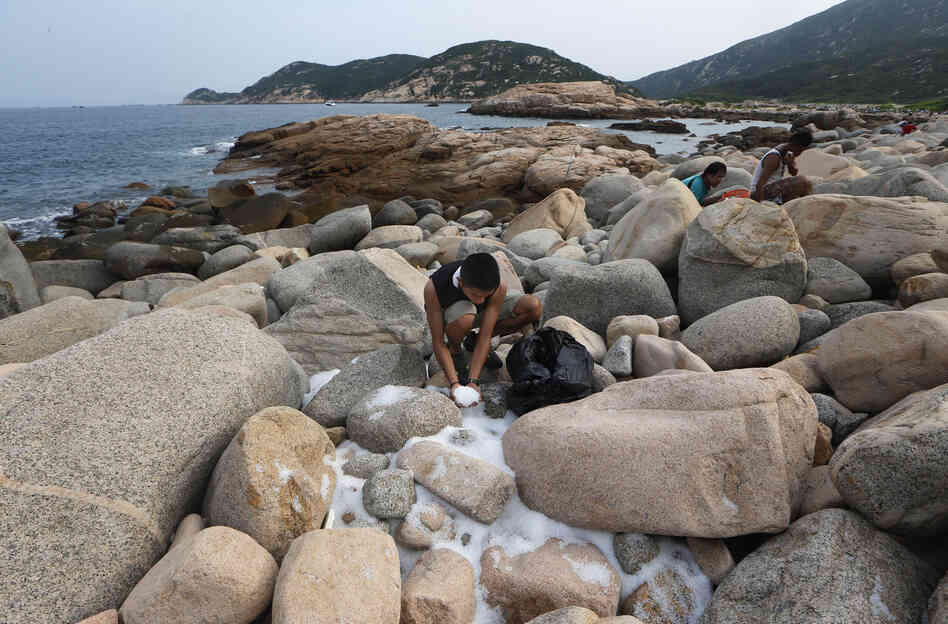 Volunteers collect plastic pellets washed up on a bank of Lamma island during a cleanup operation in Hong Kong on Sunday. Volunteers collect plastic pellets washed up on a bank of Lamma island during a cleanup operation in Hong Kong on Sunday.