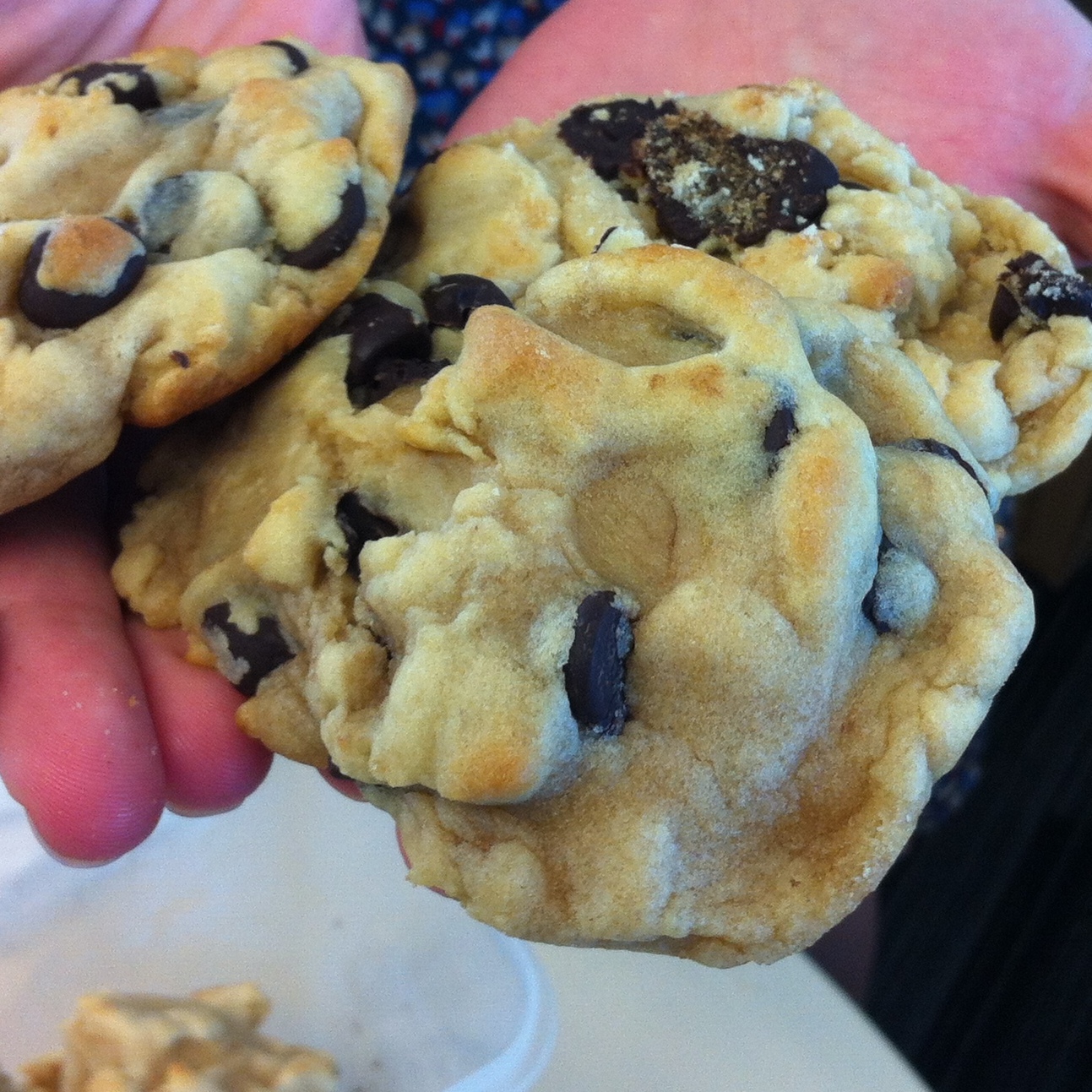 The cookies.