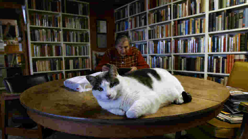 Booked Up Inc. helped put author Larry McMurtry's hometown on the map when it became one of the largest used bookstores in the country. Booked Up Inc. helped put author Larry McMurtry's hometown on the map when it became one of the largest used bookstores in the country.