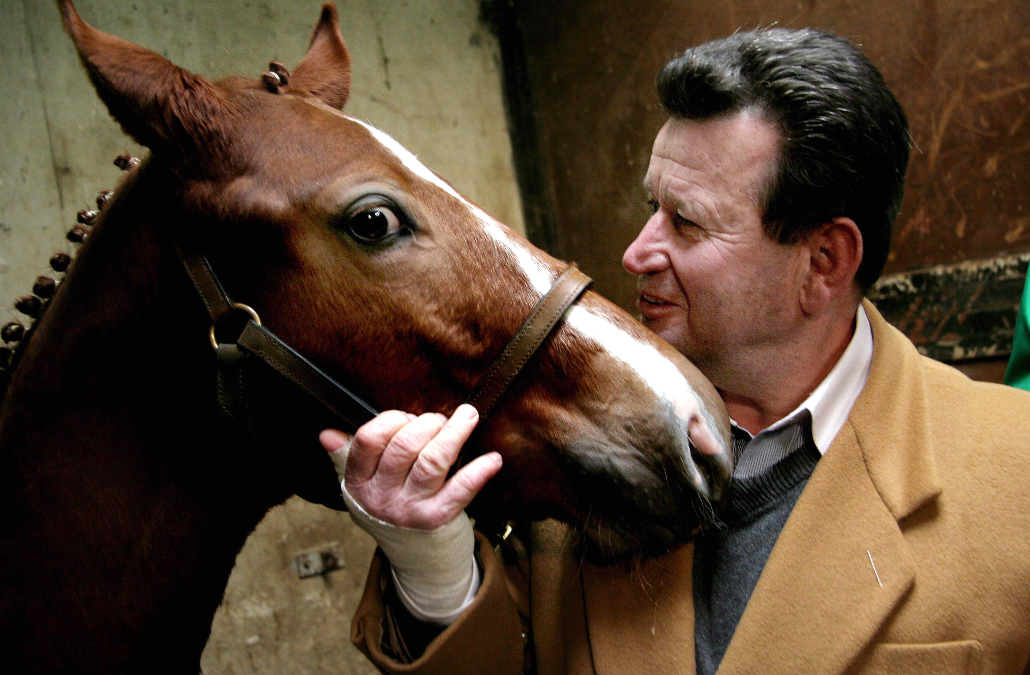 A cloned foal named 