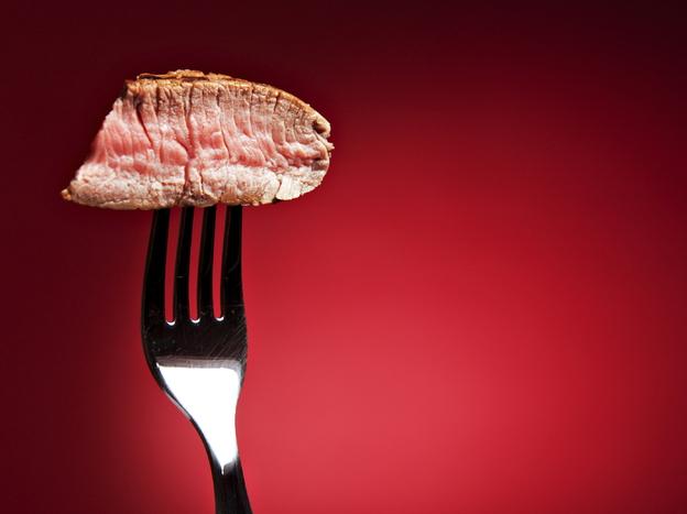 What happens when the First Amendment and paleo diet advice collide?