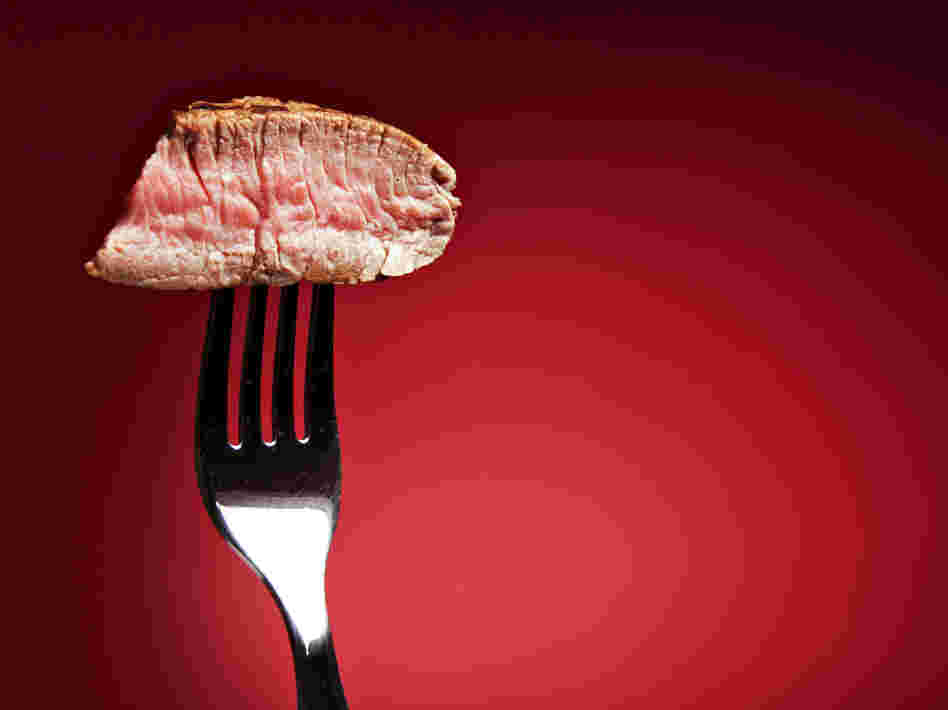 What happens when the First Amendment and paleo diet advice collide?