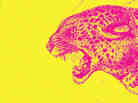 Psychopath Test book cover detail.