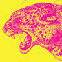 Psychopath Test book cover detail.