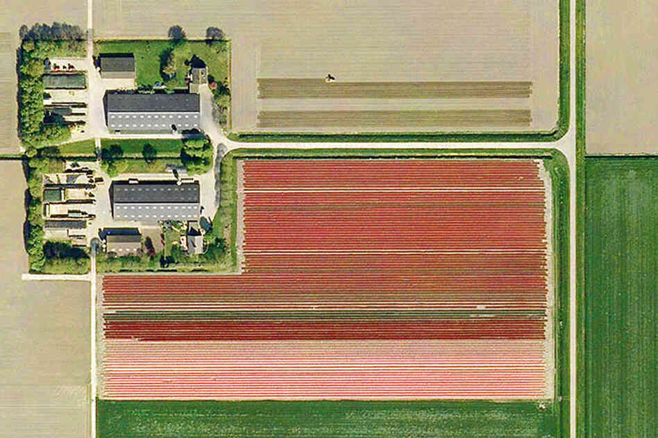 Near Almere Buiten #3