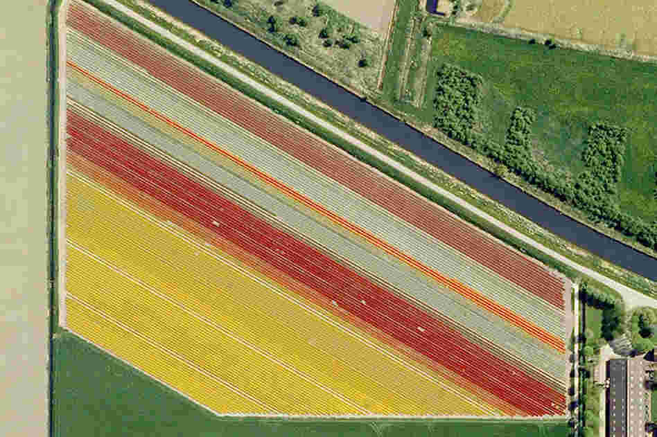 Near Almere Buiten #4