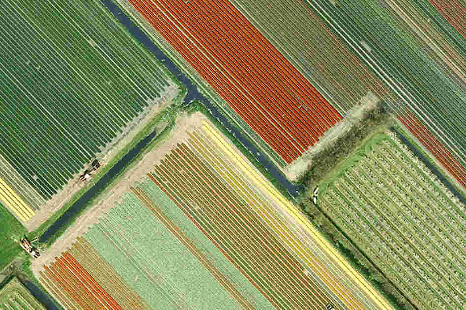 Near Blokker
