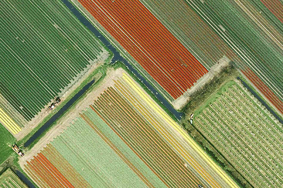 Near Blokker