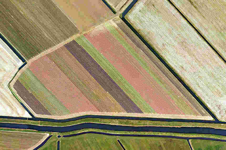 Near Heiloo #2