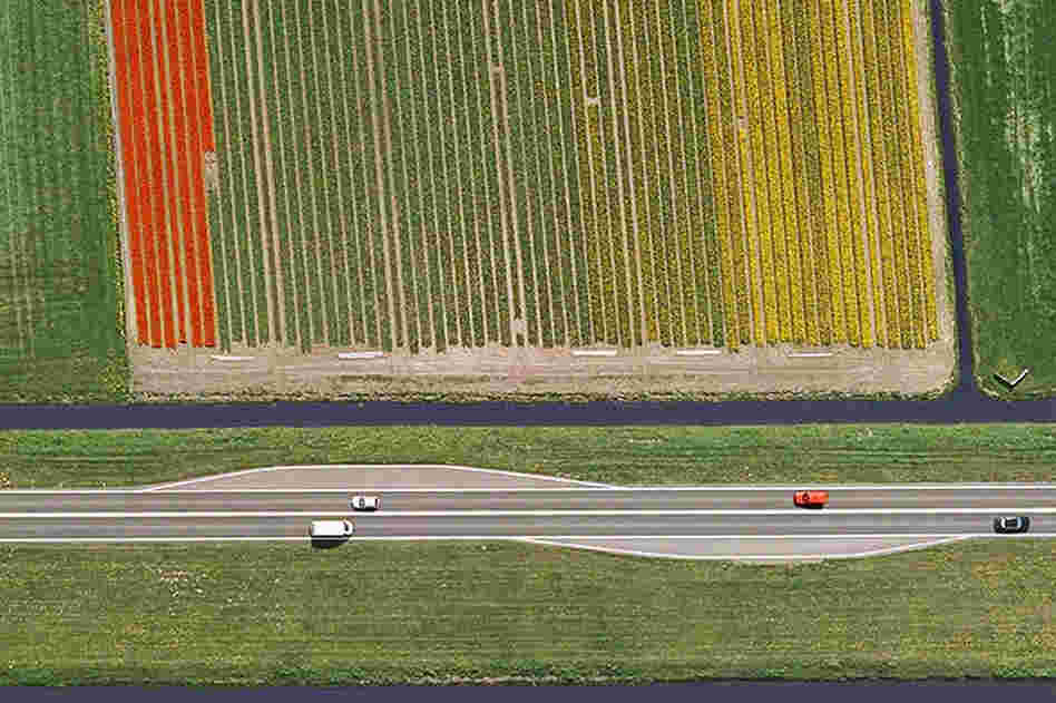 Near Zwaagdijk-Oost