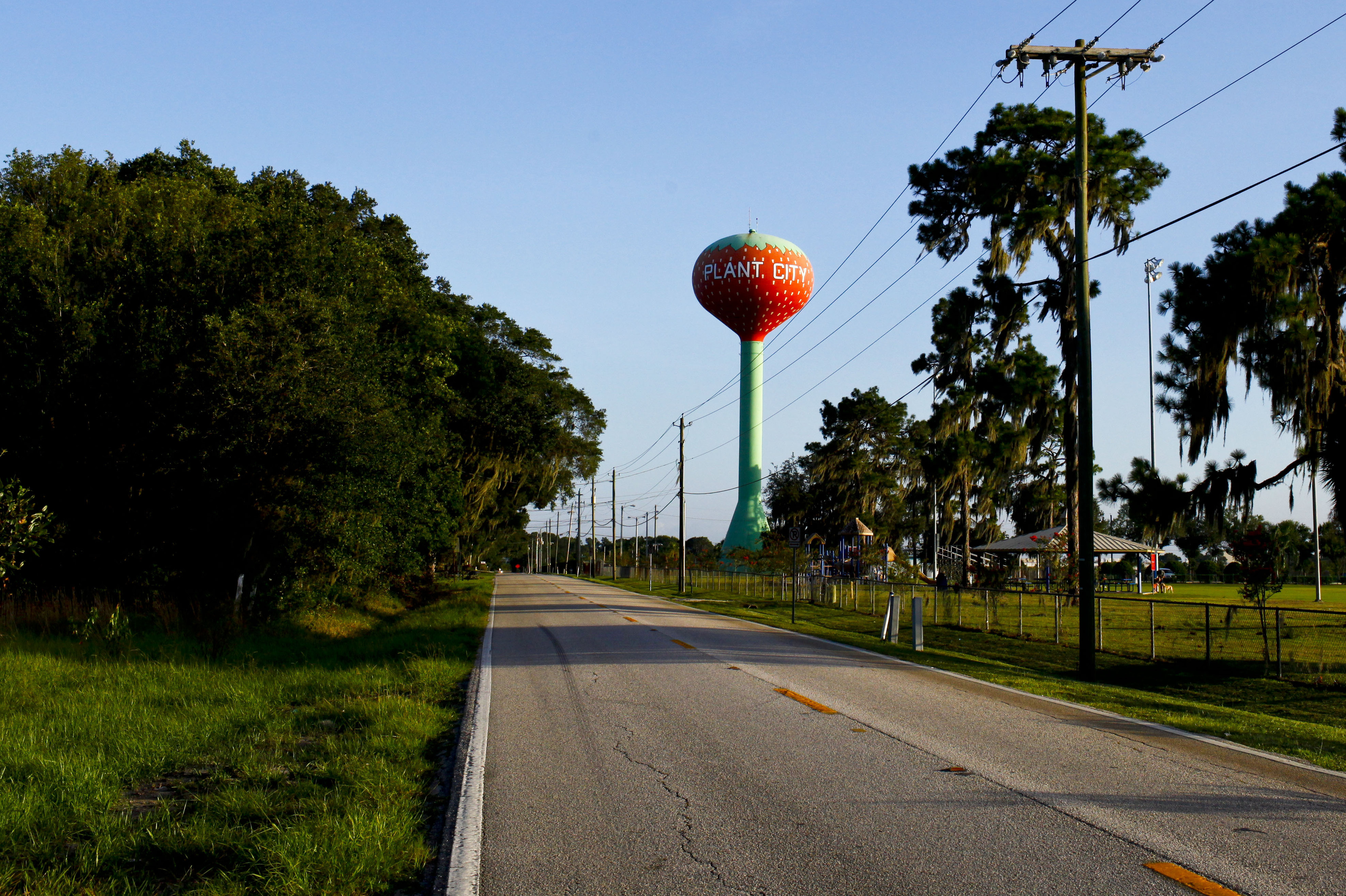 Plant City, Fla. claims to be the winter strawberry capital of the world. Strawberry fields dot the landscape, Amtrak trains roar by, and a giant water tower painted like a strawberry looms over athletic fields.