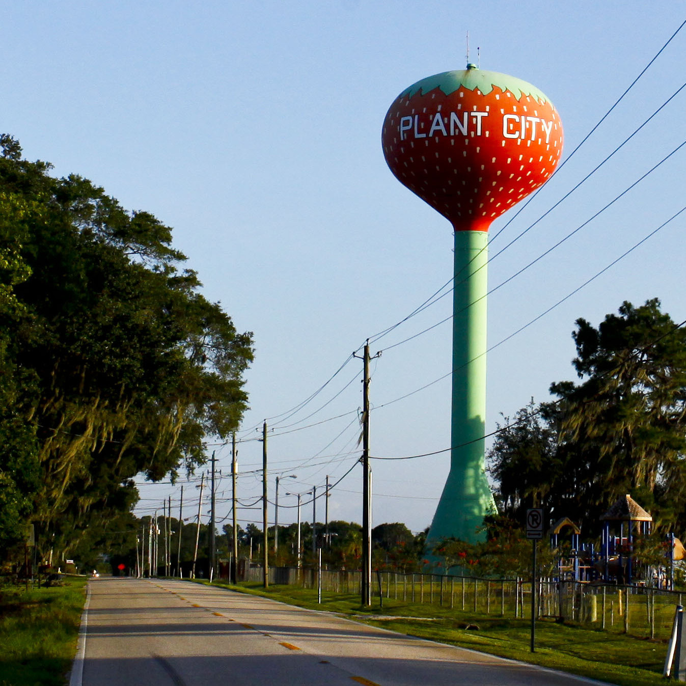 Strawberry Cafe Plant City Florida Strawberry Cafe Plant City Florida