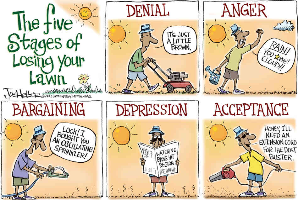 politicalcartoons.com