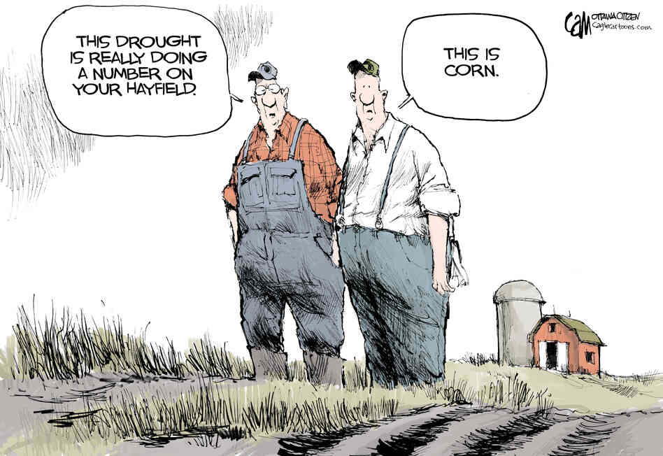 politicalcartoons.com
