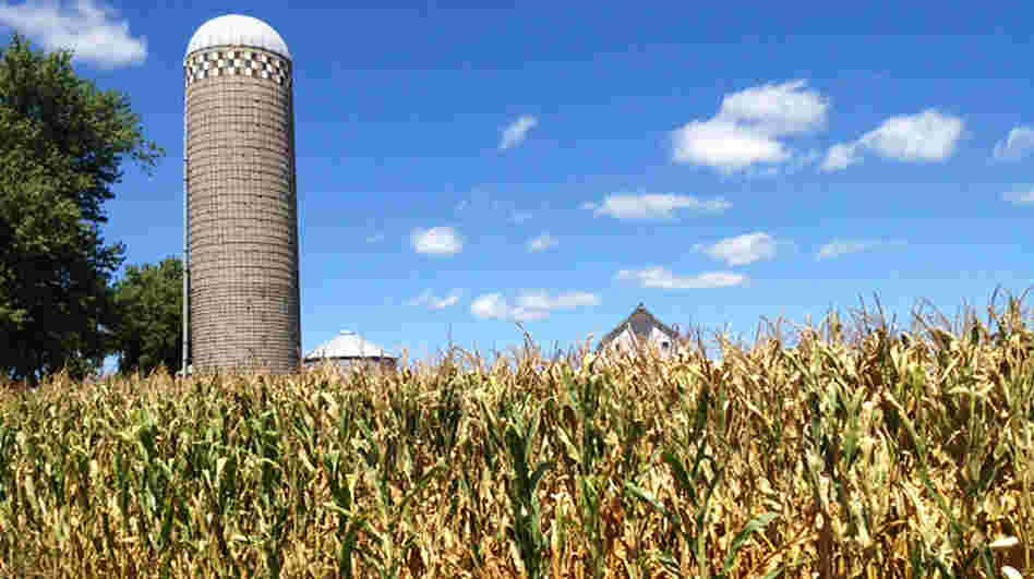 Signs of the drought in central Iowa are apparent just off the road in Marion County. A vast majority of farmers are protected from crop losses with federally backed insurance.