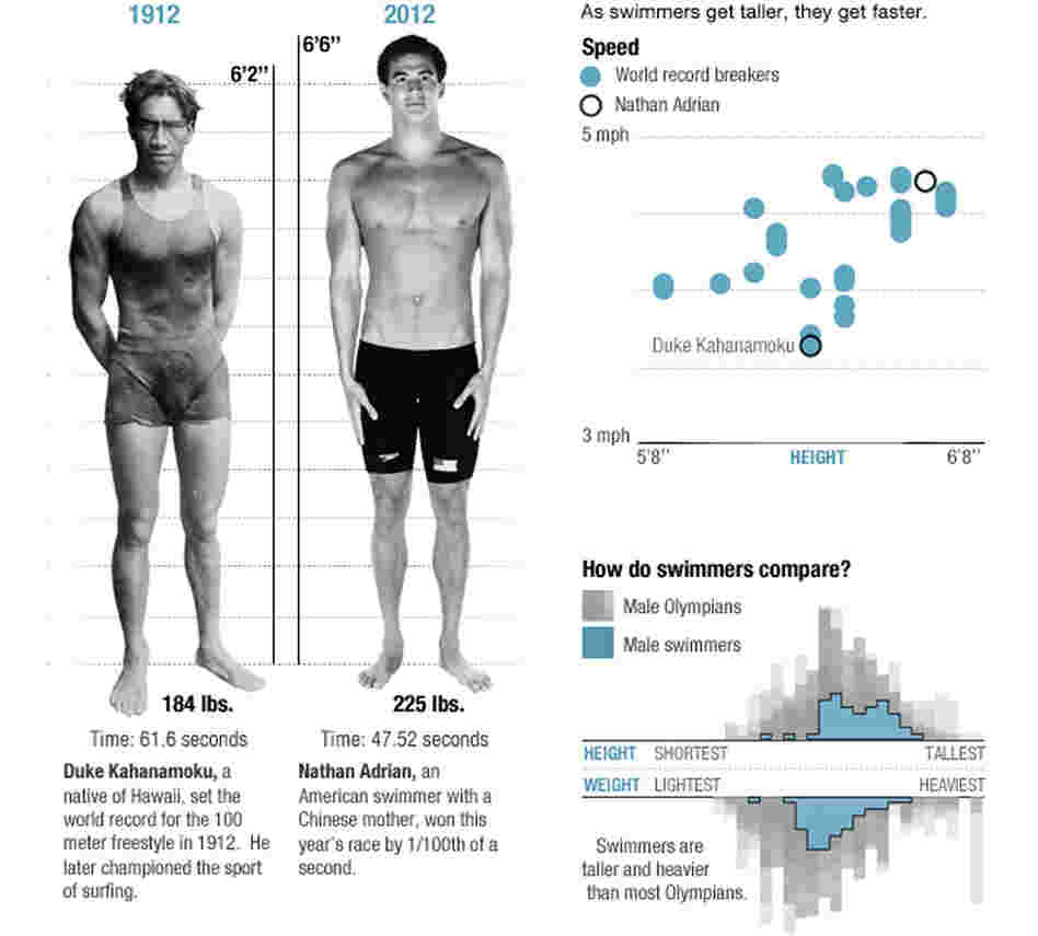 The physics of swimming. The physics of swimming.
