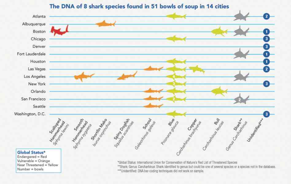 Click the image to see a full-size version. At least eight shark species, many endangered or threatened, were found in bowls of shark fin soup across the country. Click the image to see a full-size version. At least eight shark species, many endangered or threatened, were found in bowls of shark fin soup across the country.