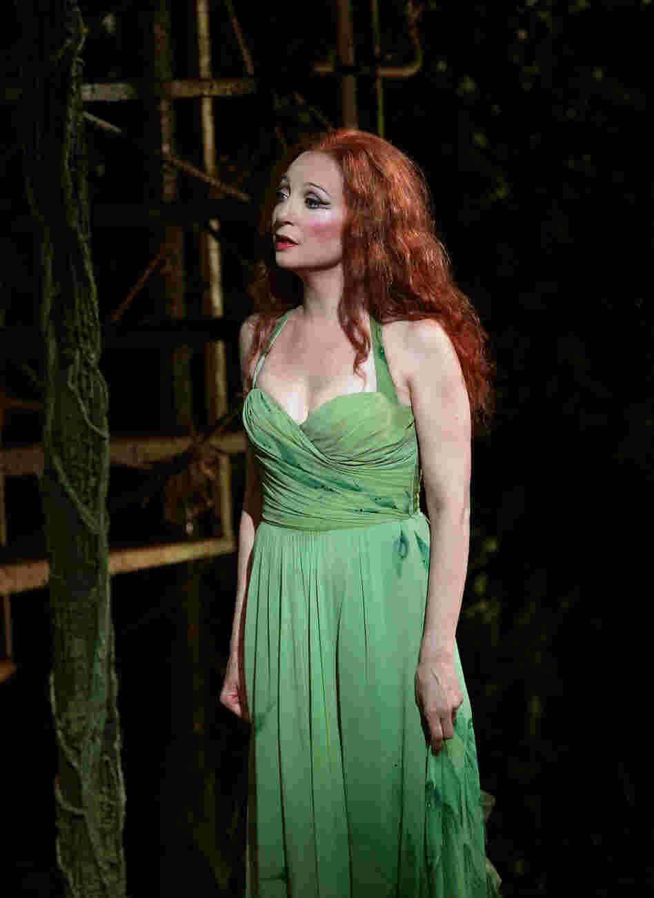 Once the Baker and his Wife collect the four elements to power her spell, the Witch (Donna Murphy) is released from the enchantment that's trapped her in the body of a crone, and restored to her former beauty.