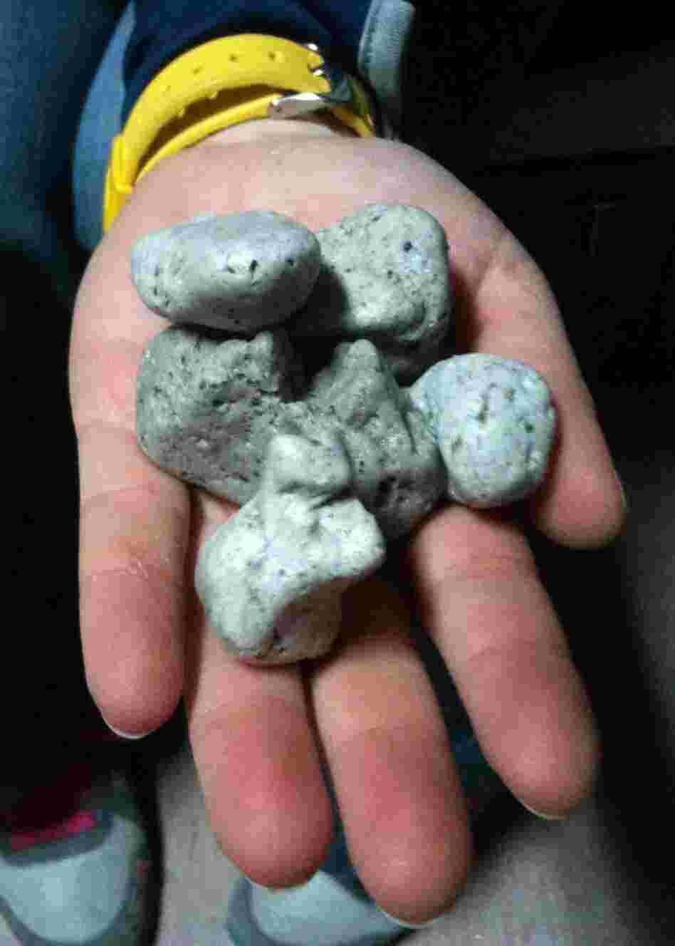 This photo photo from the New Zealand Defense Force shows a handful of the rocks found floating in the South Pacific.
