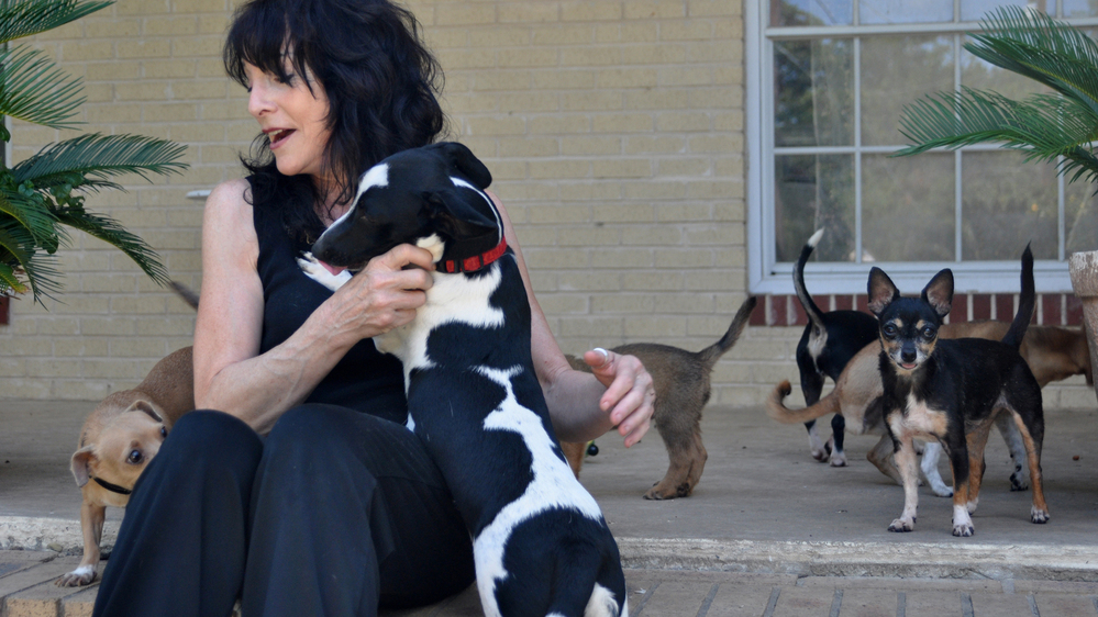 Carol Hirschi and her dogs.