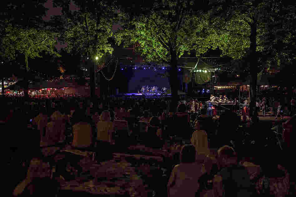 Celebrate Brooklyn is a long-running free concert series in Prospect Park. Lovett's show marked the close of the 34th season.