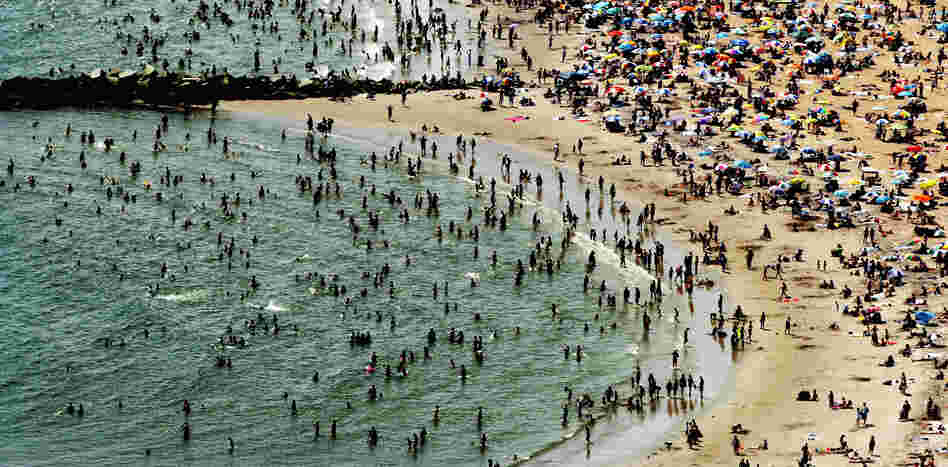 According to the National Oceanic and Atmospheric Administration, the past year through June 2012 has been the hottest year in the continental U.S. since modern record-keeping started in 1895. Above, New Yorkers flocked to Coney Island to try to beat the heat in early August. According to the National Oceanic and Atmospheric Administration, the past year through June 2012 has been the hottest year in the continental U.S. since modern record-keeping started in 1895. Above, New Yorkers flocked to Coney Island to try to beat the heat in early August.