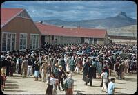 About 4,000 internees gather at the Heart Mountain camp's high school on Sept. 23, 1943, to send off 434 prisoners who failed loyalty questionnaires. The inmates were sent to a segregation facility in California.