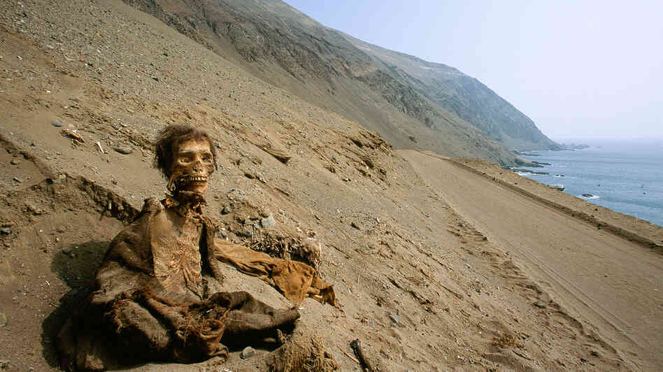 A photo from a recent National Geographic story shows a long-buried corpse, preserved by one of Earth's driest climates, Chile's Atacama Desert, where it has retained centuries-old skin, hair and clothing. A photo from a recent National Geographic story shows a long-buried corpse, preserved by one of Earth's driest climates, Chile's Atacama Desert, where it has retained centuries-old skin, hair and clothing.