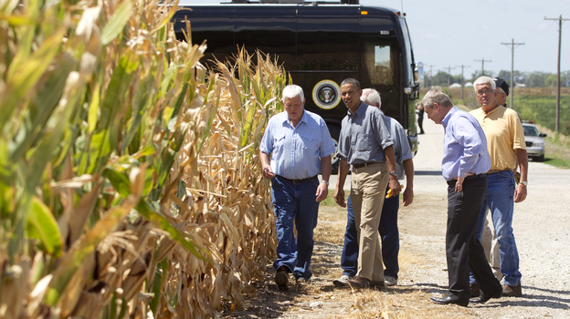 President Obama and Agriculture Secretary Tom Vilsack (second from right) inspect drought-damaged corn on the McIntosh farm in Missouri Valley, Iowa.