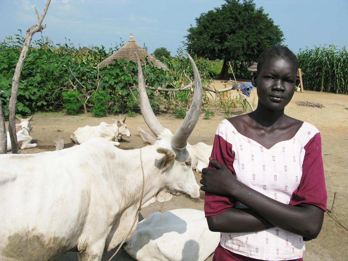 Amer is a 16-year-old Dinka girl in South Sudan's Jonglei state. Her grandmother is asking 80 cows as her dowry. Escalating dowries are one reason for the spike in violent cattle raids.