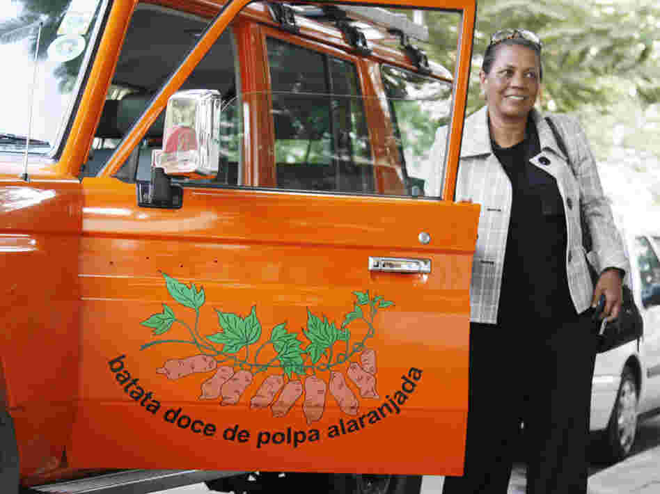 Sweet potato evangelist Maria Isabel Andrade from the International Potato Center drives around Mozambique in her orange Toyota Land Cruiser.