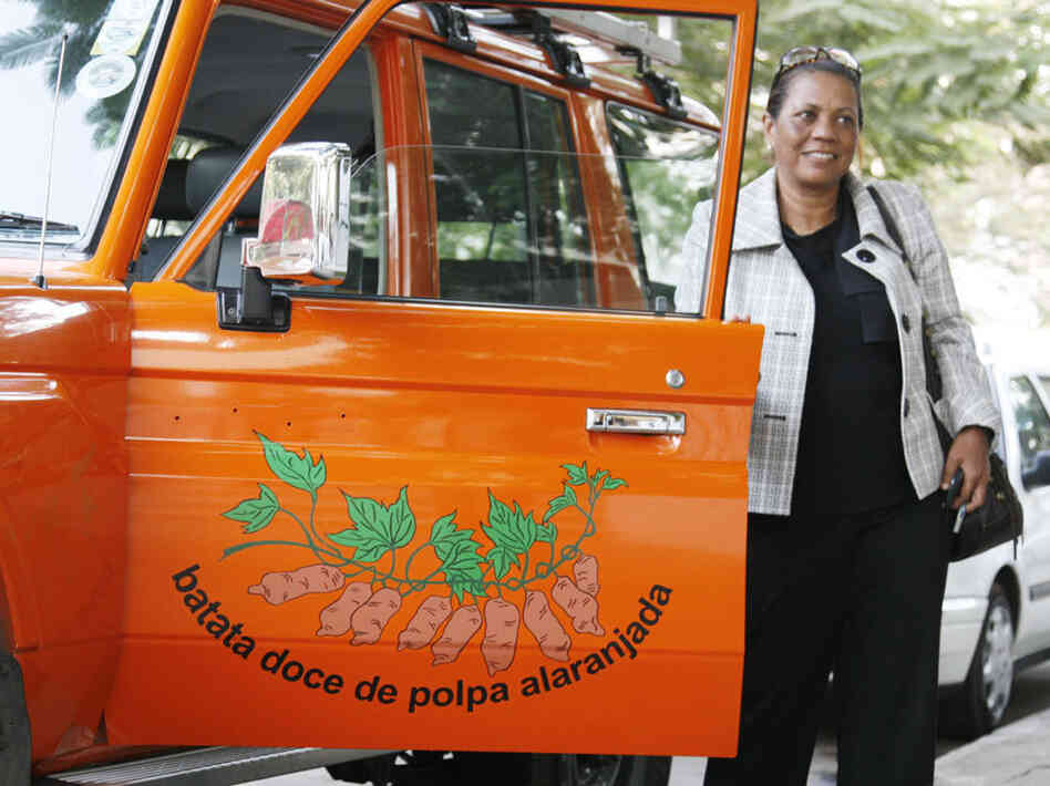 Sweet potato evangelist Maria Isabel Andrade from the International Potato Center drives around Mozambique in her orange Toyota Land Cruiser.