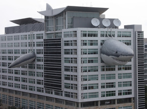 Chompie, a giant inflatable shark that measures 446 feet long, peeks out of the global headquarters building of Discovery Communications. Chompie, a giant inflatable shark that measures 446 feet long, peeks out of the global headquarters building of Discovery Communications.