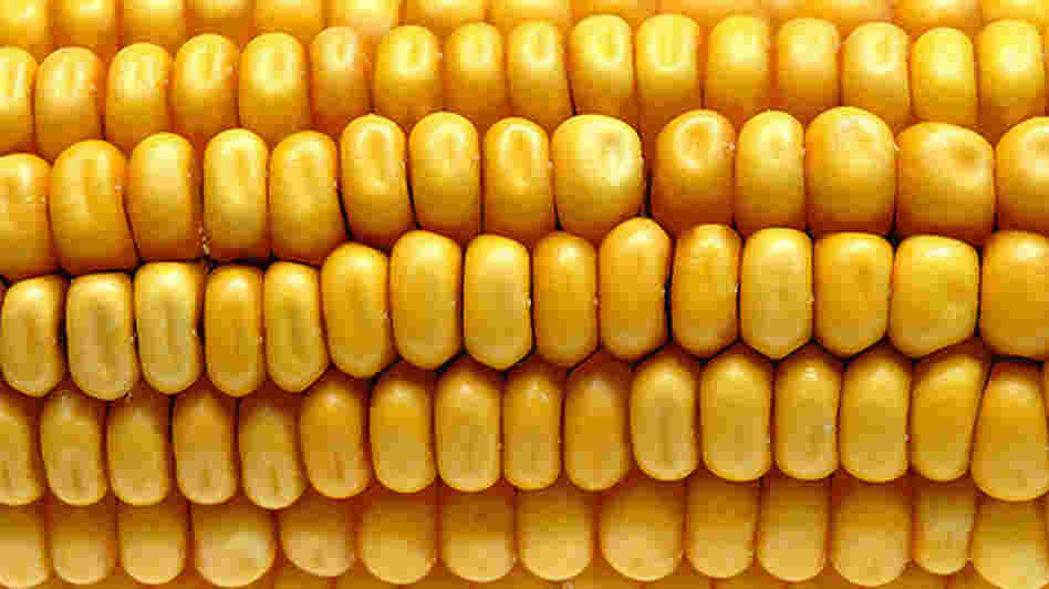 Corn.