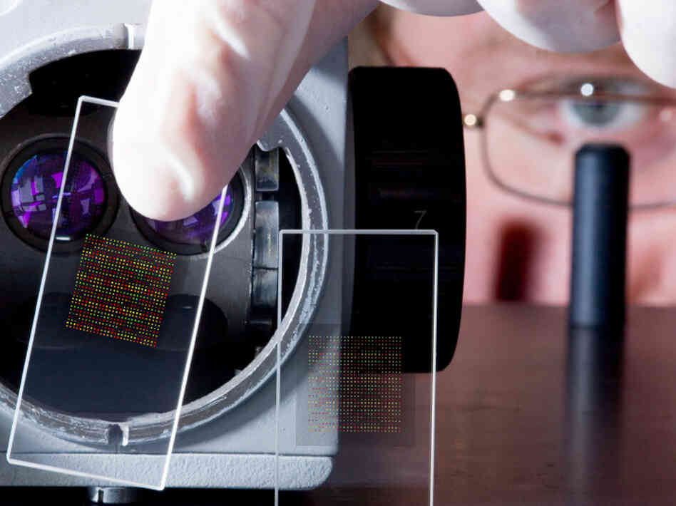 When does it make sense to test a person for the risk of an incurable illness?