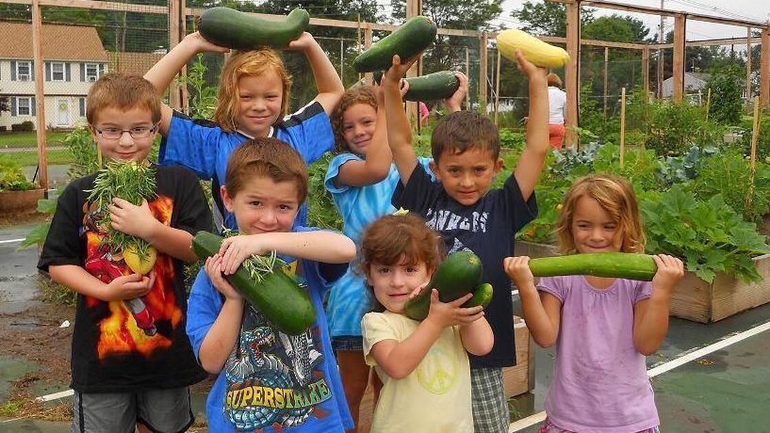Students enjoy the fruits of their labors in Wallingford.