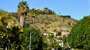 Full of luxurious homes, LA's Hollywood Hills are a standard stomping ground for Crais' recurring protagonists, Elvis Cole and Joe Pike.