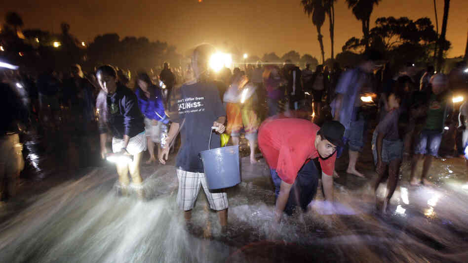 People stand on the beach to catch grunion during the annual grunion run at Cabrillo Beach in San Pedro, Calif., in 2009. People stand on the beach to catch grunion during the annual grunion run at Cabrillo Beach in San Pedro, Calif., in 2009.