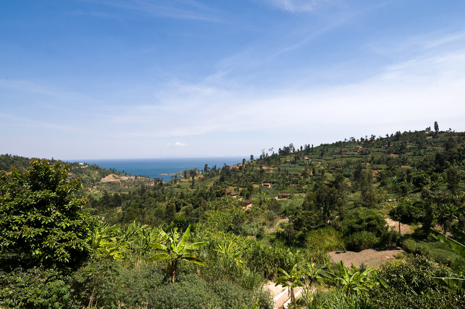 Rwanda has endless rolling hills, spotted with small family coffee farms. The altitude is about 5,600 feet near the shores of Lake Kivu in western Rwanda, making these cliffs an ideal place to grow premium coffee beans.