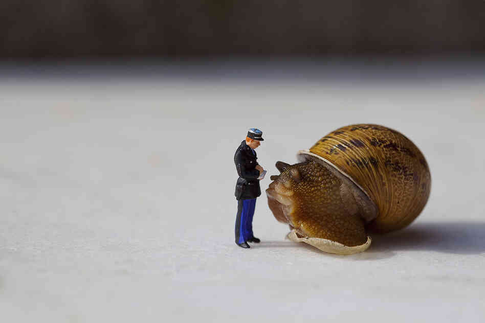 "Je vous assure que vous alliez trop lentement." (I assure you you're going too slow.)