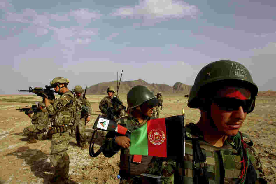 Afghan soldiers (right) patrol with U.S. troops in the Panjwai district of southern Afghanistan in May. The two armies have been working together for years, but Afghan attacks against U.S. and NATO forces have been rising recently.