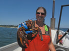 Lobsterman Genevieve Kurilec holds a lobster caught while fishing along Deer Isle, Maine. Kurilec says more women are beginning to captain their own lobster boats. Lobsterman Genevieve Kurilec holds a lobster caught while fishing along Deer Isle, Maine. Kurilec says more women are beginning to captain their own lobster boats.