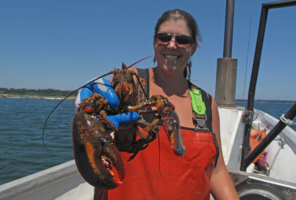 Lobsterman Genevieve Kurilec holds a lobster caught while fishing along Deer Isle, Maine. Kurilec says more women are beginning to captain their own lobster boats.
