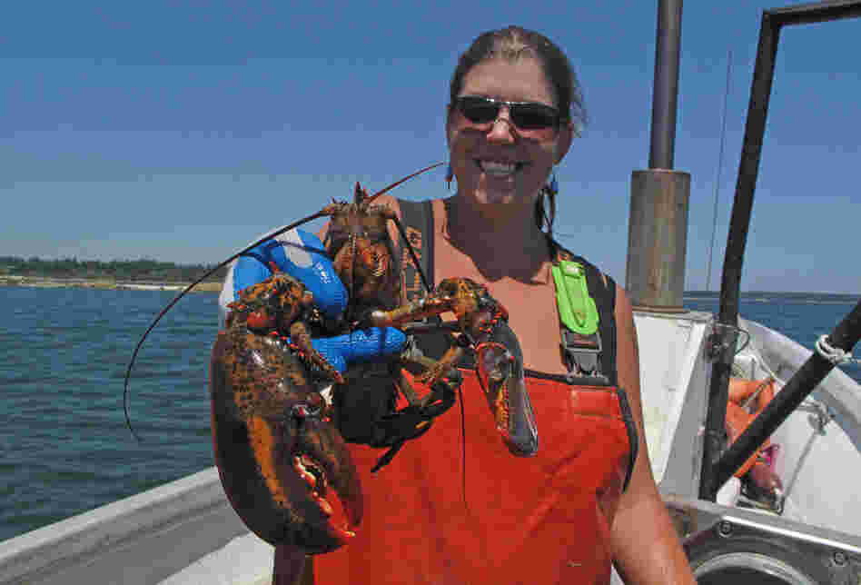 Lobsterman Genevieve Kurilec holds a lobster caught while fishing along Deer Isle, Maine. Kurilec says more women are beginning to captain their own lobster boats.