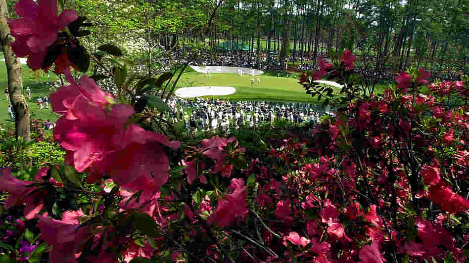The 16th green at Augusta National — framed by some of the course's famed azaleas — in 2001.