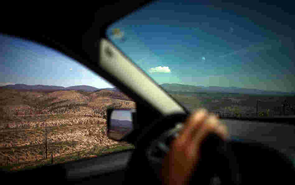 Driving along the Forest Service roads on the edge of the Bandelier National Monument, you can see the destruction wrought by the Las Conchas fire. The megafire burned more than 150,000 acres of forest — about twice the area of Manhattan.
