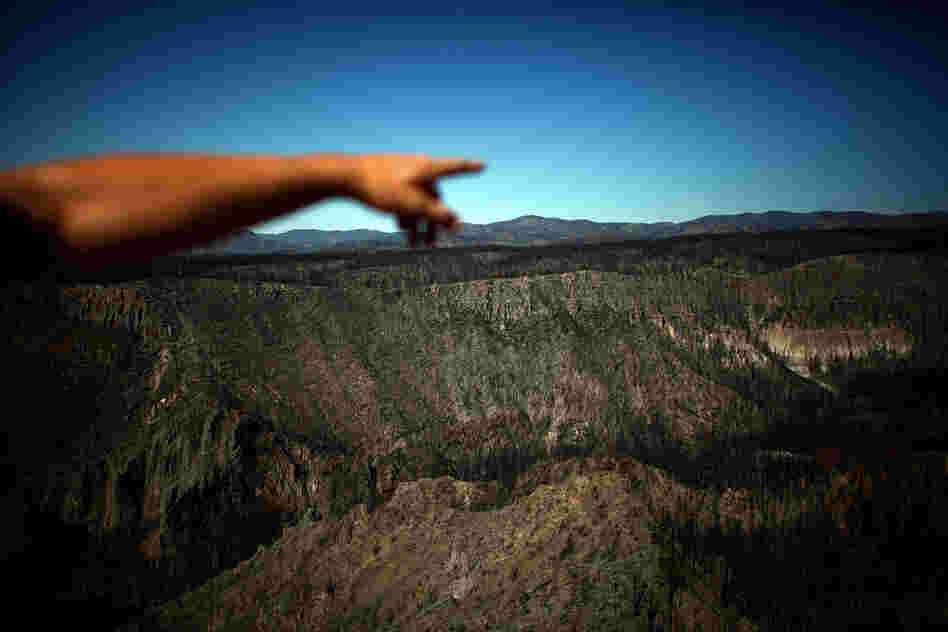 Craig Allen, a research ecologist with the United States Geological Survey, points to the devastation in Bandelier's Cochiti Canyon, which was burned by the Las Conchas fire. According to Allen, these megafires are "the new normal."